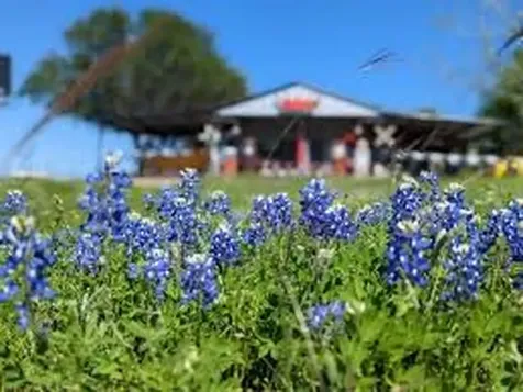 000 W Lot 31 Reserve At Chapell Hill Rd W Chappell Hill TX 77880