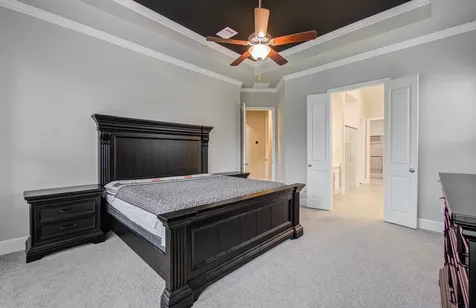 10015 Crescent Wood Drive Missouri City TX 77459