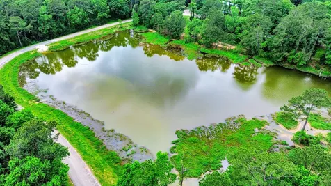 41 Lakeview New Waverly TX 77358