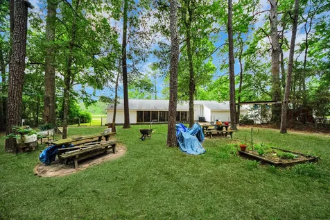 41 Lakeview New Waverly TX 77358