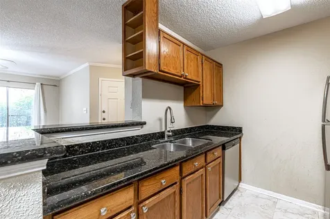 2121 Hepburn Street 511 Houston TX 77054