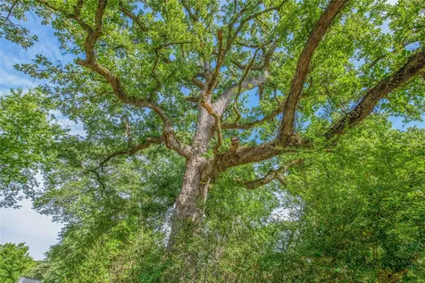10250 Dogwood Trail College Station TX 77845