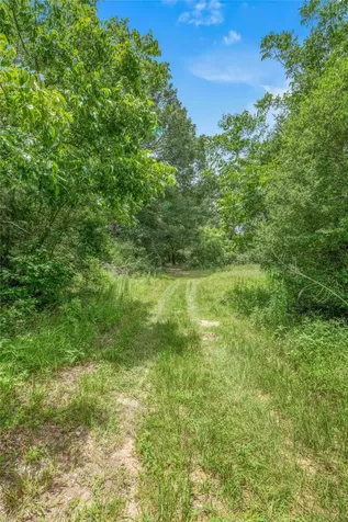 10250 Dogwood Trail College Station TX 77845