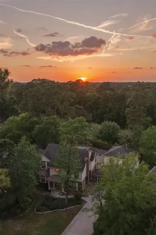 10 Featherfall Place The Woodlands TX 77381