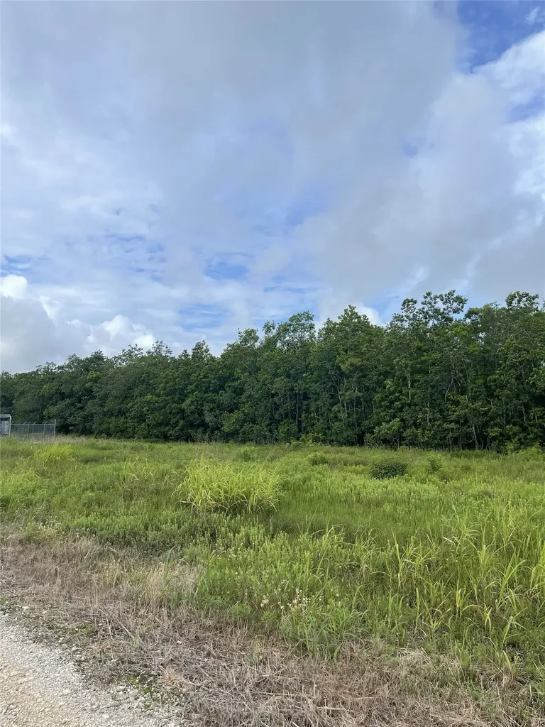 3021 County Road 62 Off Iowa Colony TX 77583