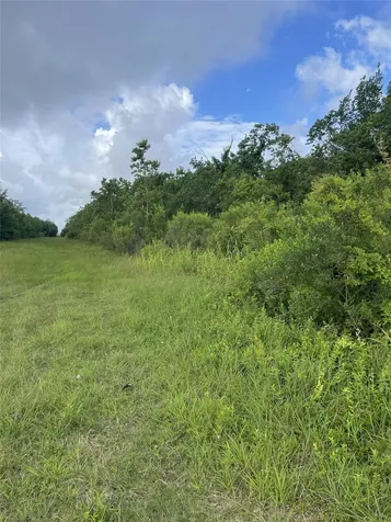 3021 County Road 62 Off Iowa Colony TX 77583