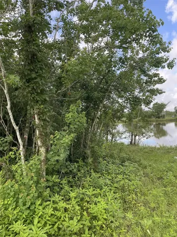 3021 County Road 62 Off Iowa Colony TX 77583