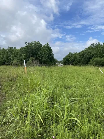 3021 County Road 62 Off Iowa Colony TX 77583