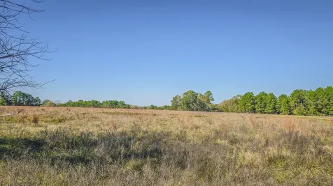 Tbd Lot 1 & 2 Podraza Road New Waverly TX 77358