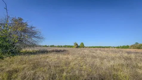 Tbd Lot 1 & 2 Podraza Road New Waverly TX 77358