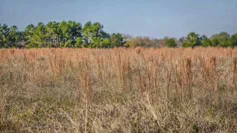Tbd Lot 1 & 2 Podraza Road New Waverly TX 77358