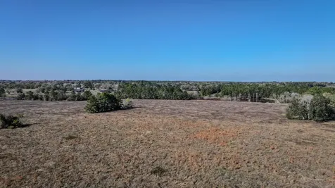 Tbd Lot 1 & 2 Podraza Road New Waverly TX 77358