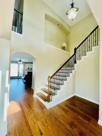14303 Tasmania Court Sugar Land TX 77498