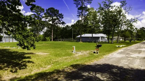 242 Palmetto Drive Livingston TX 77351