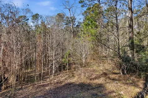 530 Smith Lane Cleveland TX 77328