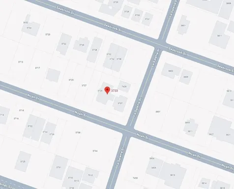 3733 Noah Street Houston TX 77021