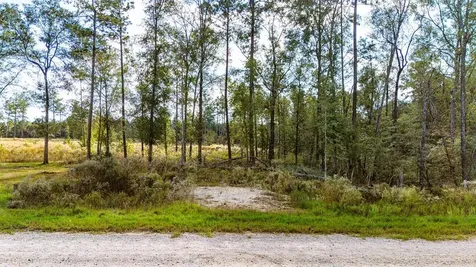 922 Rolling Pines Drive Livingston TX 77351