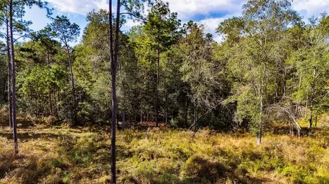 922 Rolling Pines Drive Livingston TX 77351