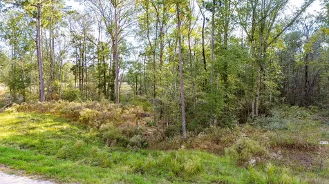922 Rolling Pines Drive Livingston TX 77351