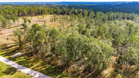 922 Rolling Pines Drive Livingston TX 77351