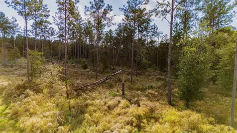 922 Rolling Pines Drive Livingston TX 77351