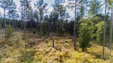 922 Rolling Pines Drive Livingston TX 77351