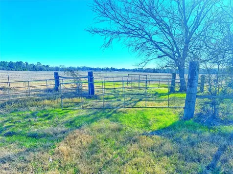000 Fm 132 Crockett TX 75835