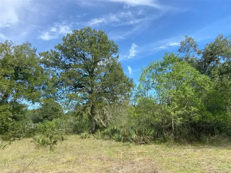 Tbd Sour Lake Circle Cleveland TX 77327