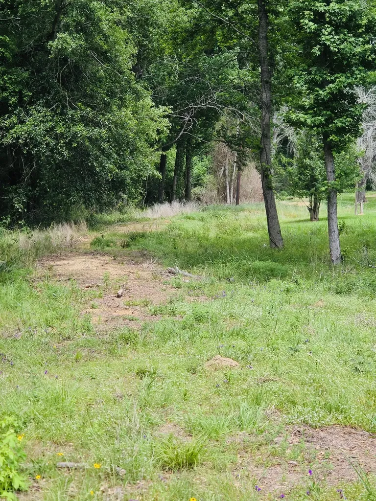 59 N Highway 59 Livingston TX 77351