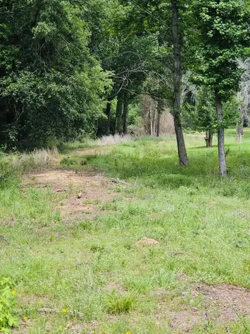 59 N Highway 59 Livingston TX 77351