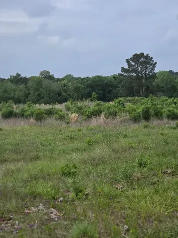 59 N Highway 59 Livingston TX 77351