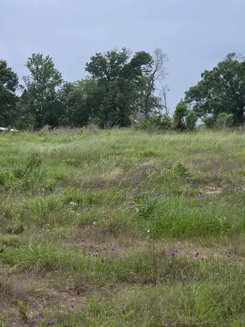 59 N Highway 59 Livingston TX 77351