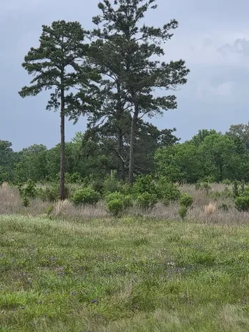 59 N Highway 59 Livingston TX 77351