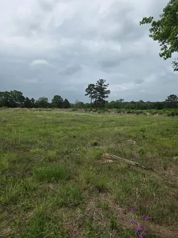 59 N Highway 59 Livingston TX 77351