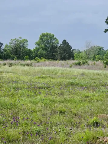 59 N Highway 59 Livingston TX 77351