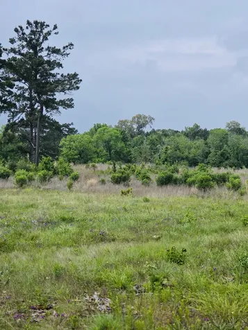 59 N Highway 59 Livingston TX 77351