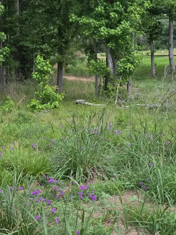 59 N Highway 59 Livingston TX 77351