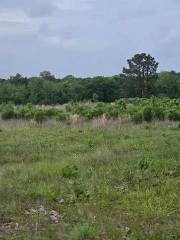59 N Highway 59 Livingston TX 77351