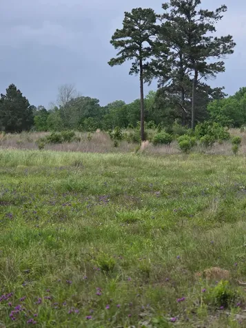 59 N Highway 59 Livingston TX 77351