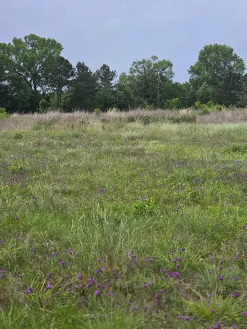 59 N Highway 59 Livingston TX 77351