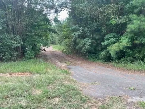 4315 County Road 239 Winona TX 75792