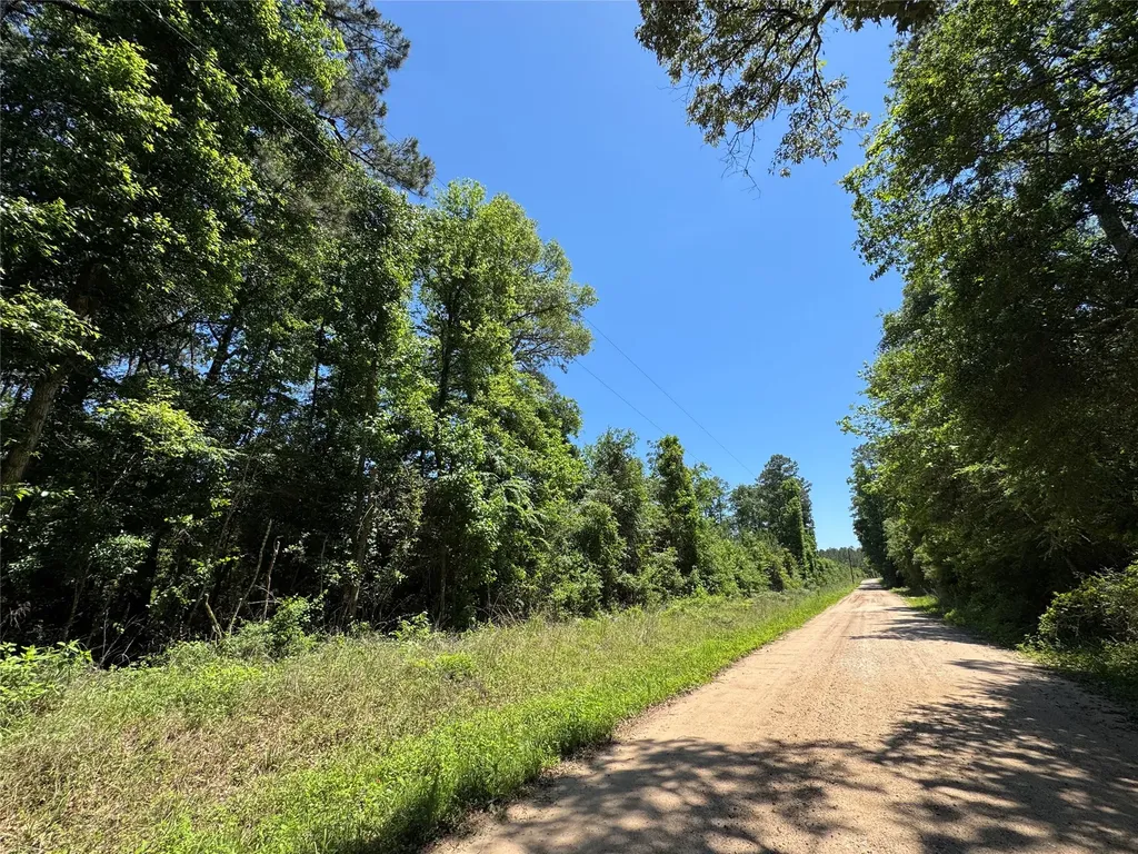 2374 Holly Grove Road Livingston TX 77351