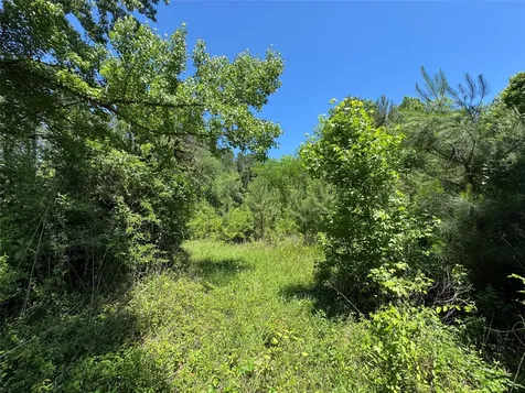 2374 Holly Grove Road Livingston TX 77351