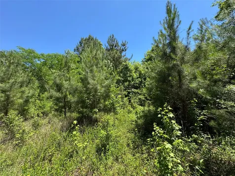 2374 Holly Grove Road Livingston TX 77351