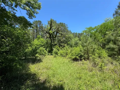 2374 Holly Grove Road Livingston TX 77351