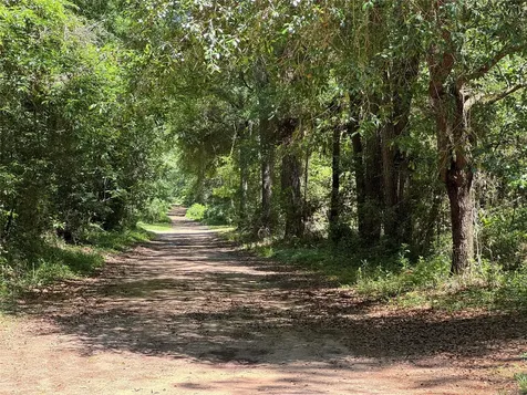 2374 Holly Grove Road Livingston TX 77351