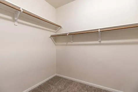 79 W Jagged Ridge Circle Spring TX 77389