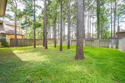 79 W Jagged Ridge Circle Spring TX 77389