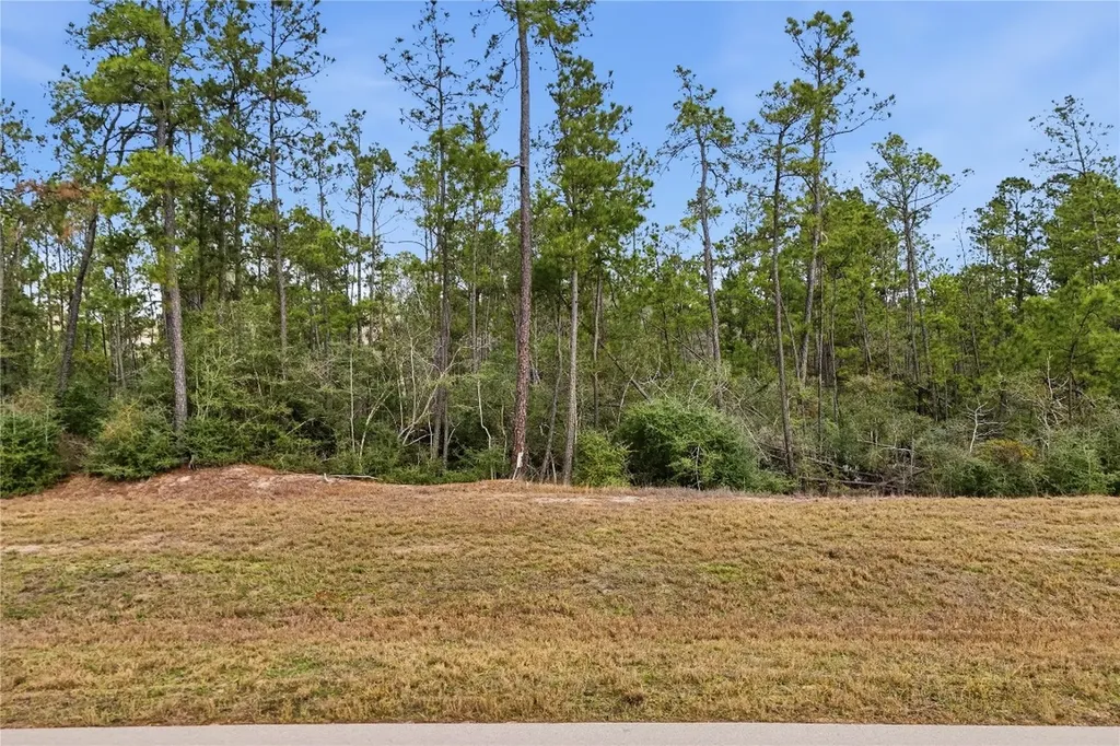 15466 Red Hawk Road Willis TX 77378