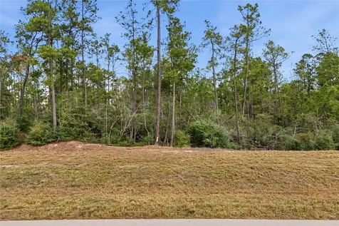15466 Red Hawk Road Willis TX 77378